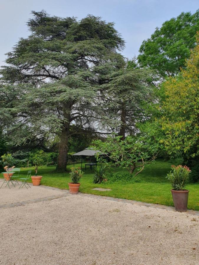 Douceurs Des Vignes Du Vivian Villa Denice Luaran gambar
