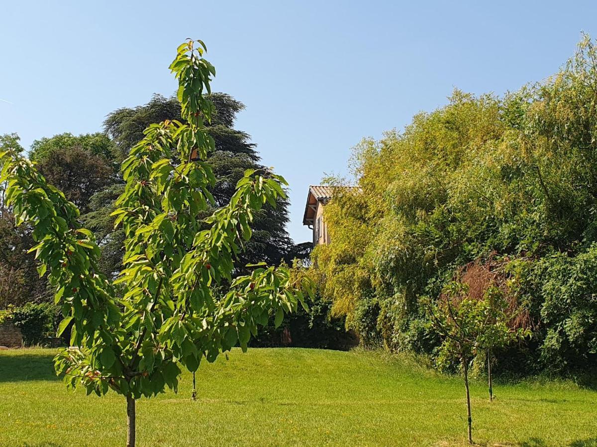 Douceurs Des Vignes Du Vivian Villa Denice Luaran gambar